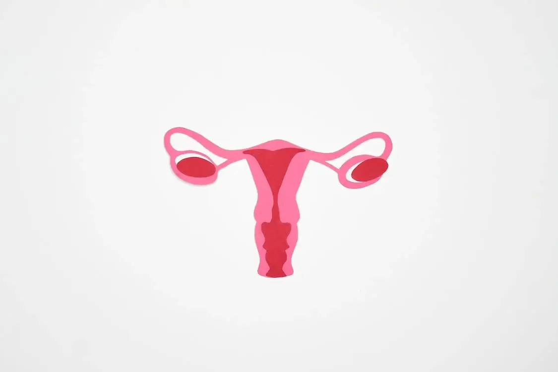 Imagem de um ovário saudável, ilustrando a Síndrome do Ovário Policístico (SOP) - uma condição hormonal comum em mulheres. Conheça os sintomas, tratamentos e estratégias de estilo de vida saudável para lidar com a SOP.